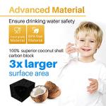 ICEPURE LT1000P Water Filter Replacement - 4 Pack