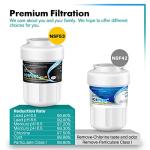 ICEPURE Plus NSF53&42 Water Filter 2-Pack