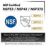 ICEPURE Plus NSF53&42 Water Filter 2-Pack