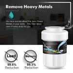 ICEPURE Plus NSF53&42 Water Filter 2-Pack