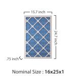 HG 16x25x1 MERV 11 Air Filter 2-Pack
