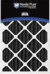 Nordic Pure 20x25 Carbon Pleated Filters 2 Pack