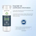 GLACIER FRESH XWFE Water Filter Replacement Pack of 3