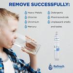 Refresh 9010 Water Filter for Whirlpool Refrigerators