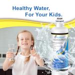 EXCELPURE RWF6100A Refrigerator Water Filter 2-Pack