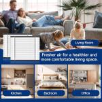 AprilAire 210 Replacement Filters - 2-Pack