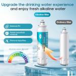 ICEPURE Alkaline Refrigerator Water Filter for LG