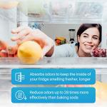 SpiroPure Odor Air Filter Replacement (6 Pack)