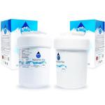 Denali Pure 2-Pack Hotpoint Refrigerator Water Filter