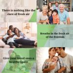 Sierra Grates MERV 8 Air Vent Filters 24-Pack