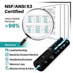 IcePure UKF8001 Refrigerator Water Filter 2-Pack