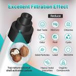 ICEPURE Plus LT1000P Replacement Water Filters 4-Pack