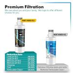 ICEPURE Plus LT1000P Replacement Water Filters 4-Pack