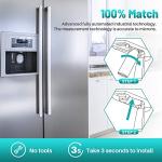 ICEPURE Plus LT1000P Replacement Water Filters 4-Pack