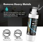 ICEPURE Plus LT1000P Replacement Water Filters 4-Pack