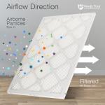 Nordic Pure MERV 13 Mini Pleat Air Filters 2-Pack