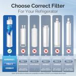 ICEPURE RFC6600A Water Filter Replacement 4-Pack