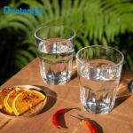 EDRARXD1 Water Filter Replacement, 2 Pack