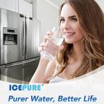 ICEPURE CS-52 Water Filter 3-Pack