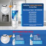 ICEPURE Refrigerator Water Filter for Blomberg Beko 2-Pack