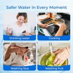 Waterdrop 2.5"x10" Whole House Carbon Filter, 4 Pack