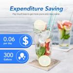 ICEPURE RFC6600A Refrigerator Water Filter 3-Pack