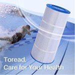 Toread Pool Filter Cartridge - Compatible with Pentair