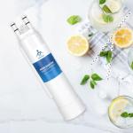 TEEHAY Water Filter Replacement for Electrolux & Frigidaire