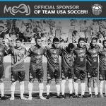 14x24x1 MERV 8 Air Filters - 4-Pack