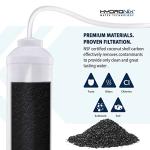 Hydronix ICF-10 Inline Activated Carbon Filter (3 Pack)