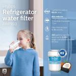 Philips NSF Certified Refrigerator Water Filter Pack