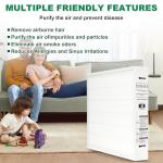 Bryant/Carrier MERV 15 Replacement Filters - 2 Pack