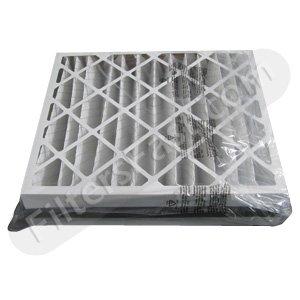 Trane/American Standard Perfect Fit Air Filter