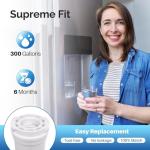 ICEPURE 836848 Water Filter for Fisher & Paykel