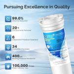 ICEPURE 836848 Water Filter for Fisher & Paykel