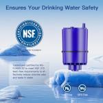 WaterJingYi Faucet Filter for PUR® Systems, 2 Pack