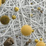 iRobot Replacement High-Efficiency Filter 3-Pack