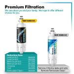 ICEPURE 46-9690 NSF Certified Water Filter 2-Pack