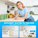 Water Filter Replacement for LT1000PC, Kenmore 2 Pack