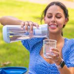 Hydros Replacement Water Filter 2 Pack