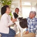 Filtrete 14x20 AC Air Filter, MPR 700