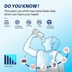 IcePure Pro RWF1200AH Replacement Water Filter