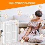 Skymechy MERV-13 20x25 Filter 2-Pack