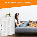 Skymechy MERV-13 20x25 Filter 2-Pack