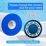 POOLPURE PA150S Pool Filter Cartridge Replacement