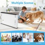 2-Pack MERV 13 Replacement Air Filter 16x25x4