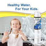 EXCELPURE RWF5800A Water Filter for Frigidaire 2-Pack