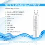 Frigidaire Compatible Water Filter Replacement (2 Pack)