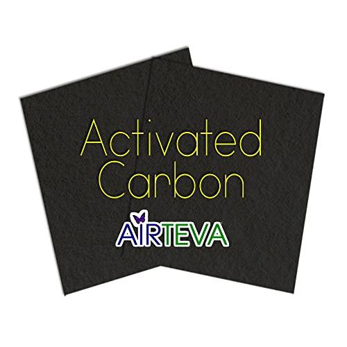 14 x 20 Activated Carbon Filter Refill Pads (2 Pack)