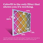 Color Changing 25x25 Air Filter for Pets